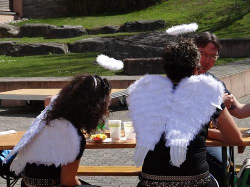 Click on the photo for the original