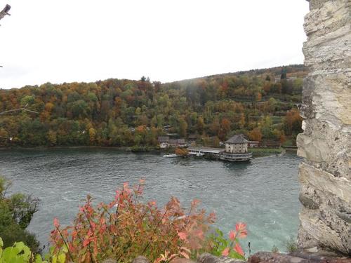 Click on the photo for the original