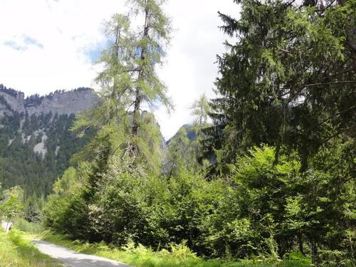 Click on the photo for the original