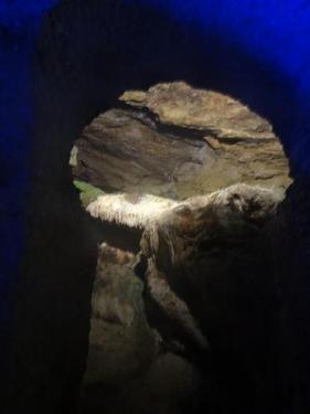 Click on the photo for the original