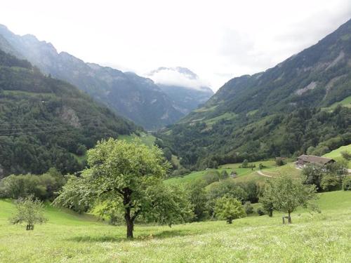 Click on the photo for the original