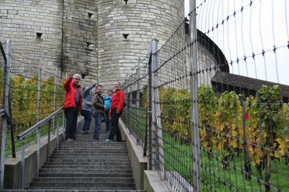 Click on the photo for the original