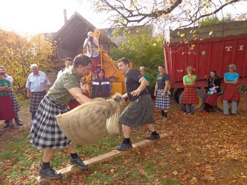 Click on the photo for the original