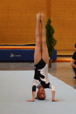 Click on the photo for the original