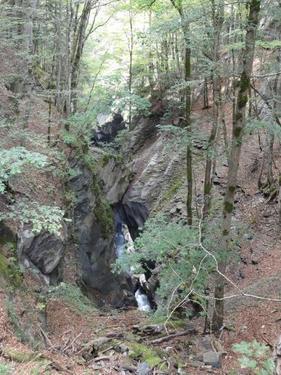 Click on the photo for the original