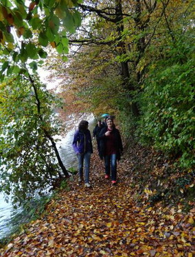 Click on the photo for the original