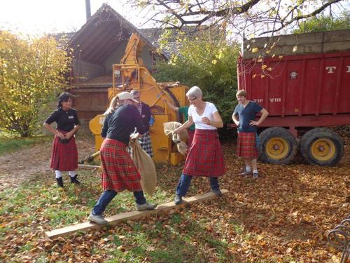 Click on the photo for the original