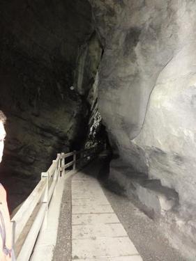 Click on the photo for the original