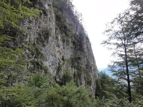 Click on the photo for the original