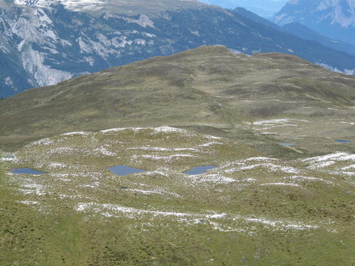 Click on the photo for the original