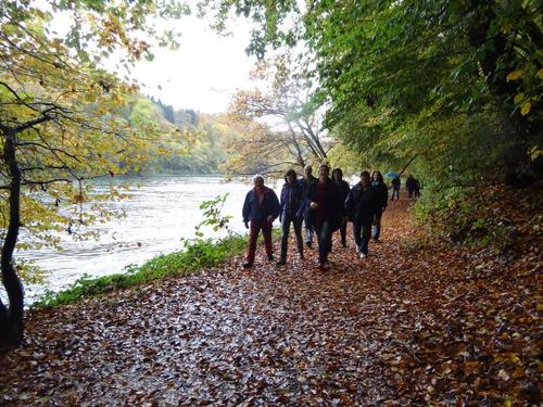 Click on the photo for the original