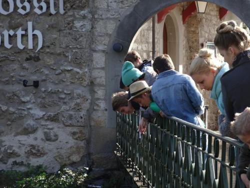 Click on the photo for the original