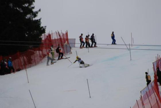 Click on the photo for the original