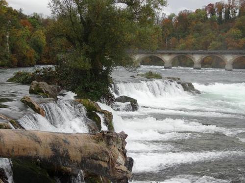 Click on the photo for the original