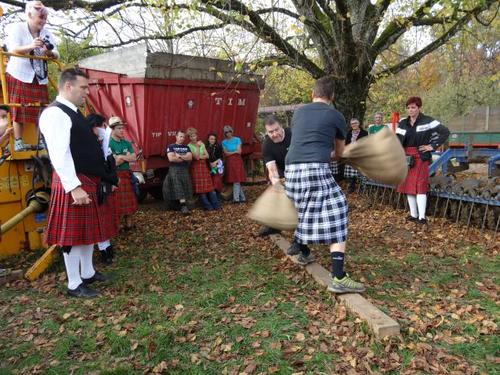 Click on the photo for the original