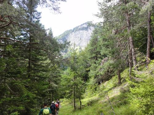 Click on the photo for the original