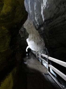 Click on the photo for the original