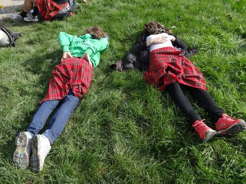 Click on the photo for the original