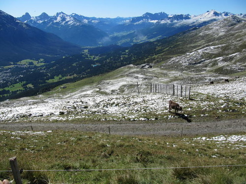 Click on the photo for the original