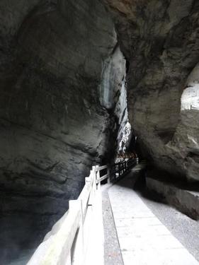 Click on the photo for the original