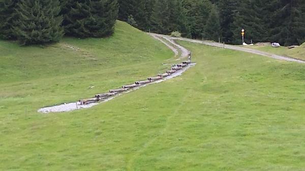 Click on the photo for the original