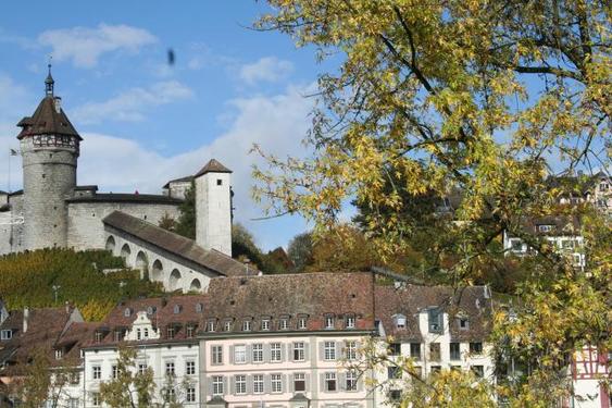 Click on the photo for the original