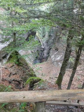 Click on the photo for the original