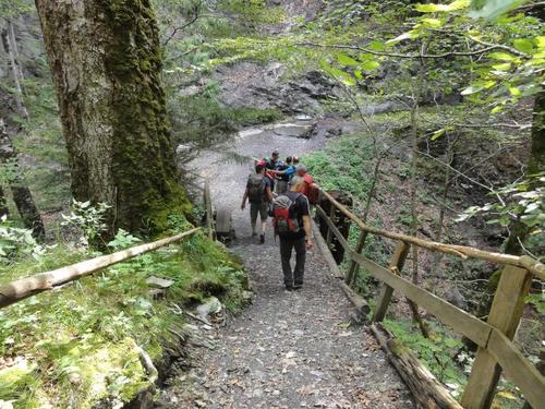 Click on the photo for the original