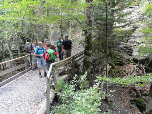 Click on the photo for the original