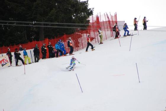 Click on the photo for the original