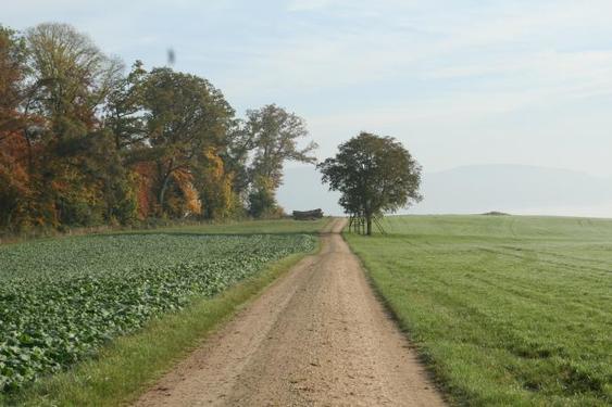 Click on the photo for the original