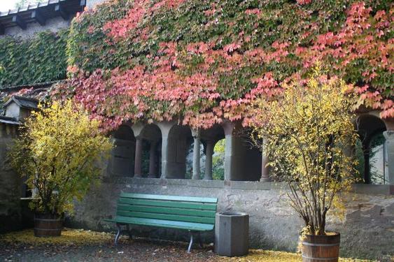 Click on the photo for the original