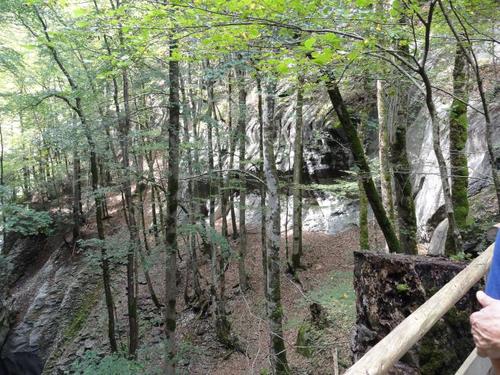 Click on the photo for the original