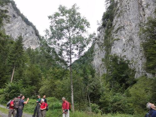 Click on the photo for the original