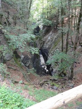 Click on the photo for the original