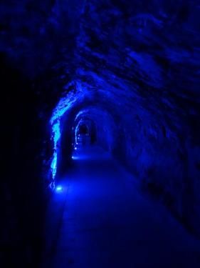 Click on the photo for the original