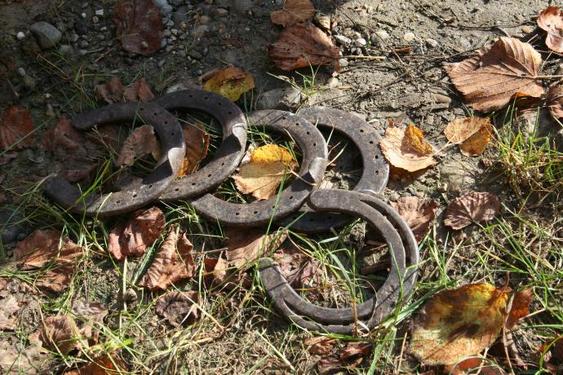 Click on the photo for the original