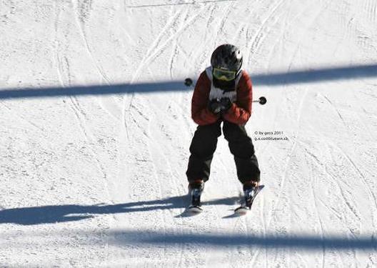 Click on the photo for the original