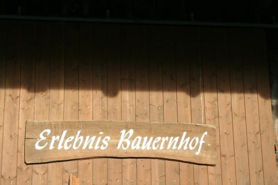 Click on the photo for the original