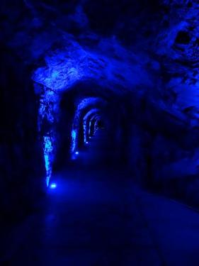 Click on the photo for the original