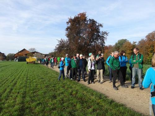 Click on the photo for the original