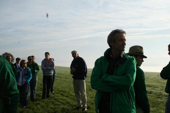 Click on the photo for the original