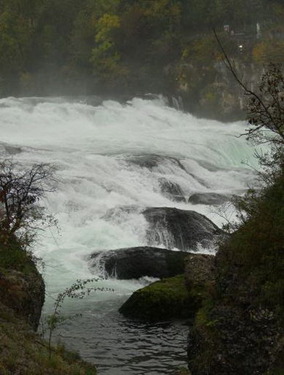 Click on the photo for the original