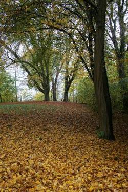 Click on the photo for the original