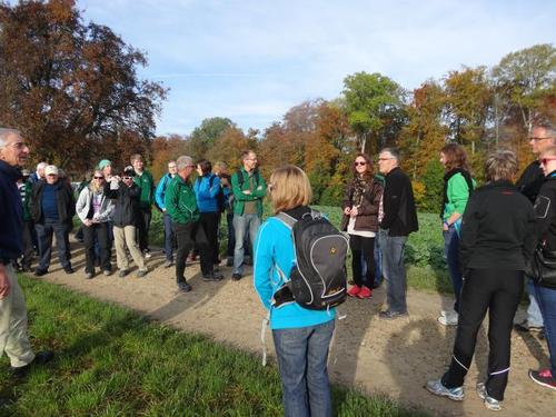 Click on the photo for the original