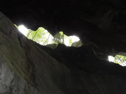 Click on the photo for the original