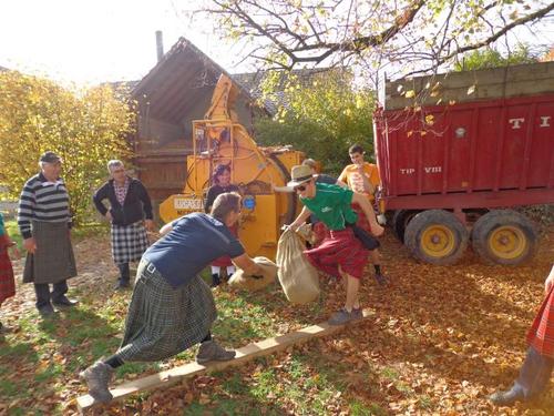 Click on the photo for the original