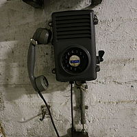 IMG 7299