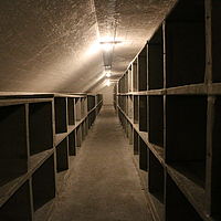 IMG 7338