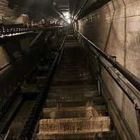 IMG 7345